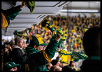 Supporter IF Björklöven-4
