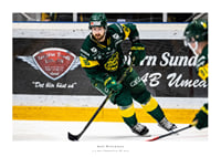 Hutchings IF Björklöven-1