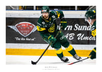 Hutchings IF Björklöven-1