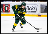 Fredric Andersson IF Björklöven-4