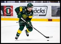 Fredric Andersson IF Björklöven-2
