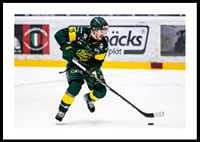 Fredric Andersson IF Björklöven-2