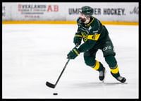 Rahimi IF Björklöven-2