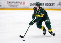 Rahimi IF Björklöven-3