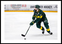 Rahimi IF Björklöven-2