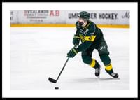 Rahimi IF Björklöven-0