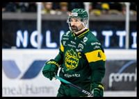Daniel Rahimi IF Björklöven-2