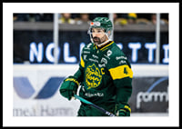 Daniel Rahimi IF Björklöven-2