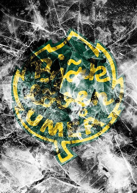 Frozen In Ice Logo IF Björklöven-12