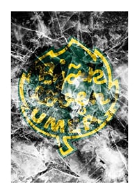 Frozen In Ice Logo IF Björklöven-1