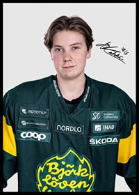 Alva Karlström #16 IF Björklöven 2024/2025-2