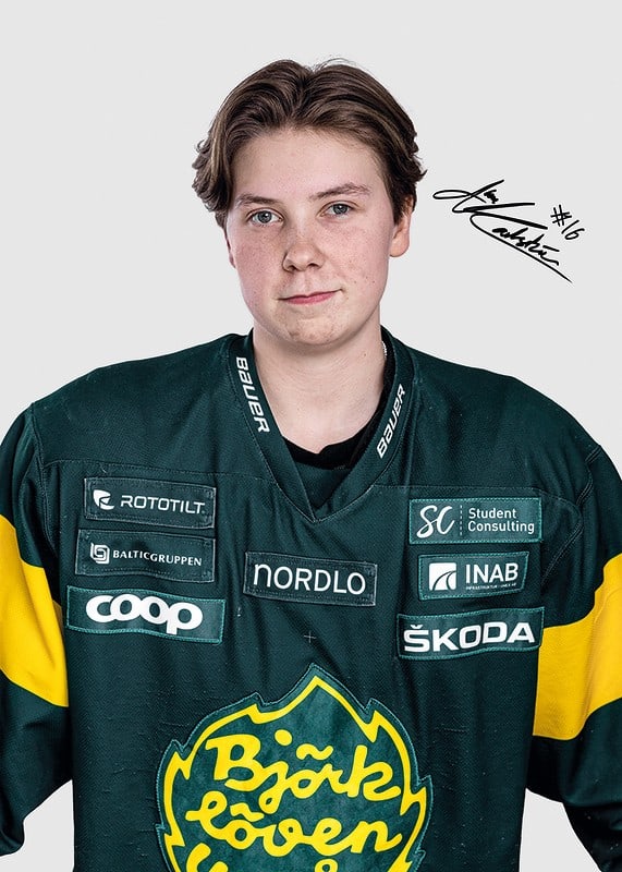 Alva Karlström #16 IF Björklöven 2024/2025-12
