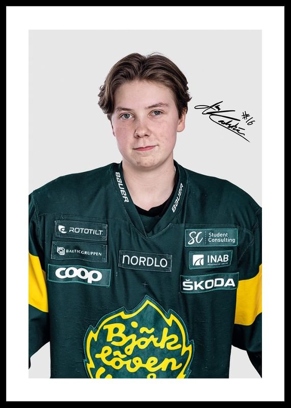 Alva Karlström #16 IF Björklöven 2024/2025-12