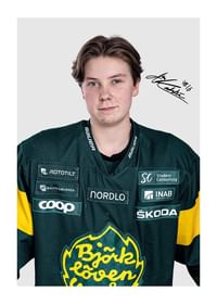 Alva Karlström #16 IF Björklöven 2024/2025-1