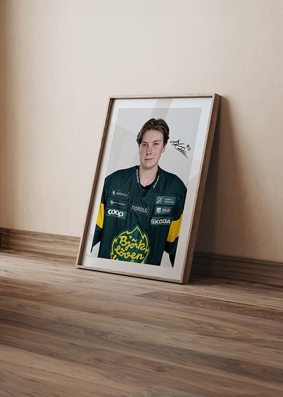 Alva Karlström #16 IF Björklöven 2024/2025-12