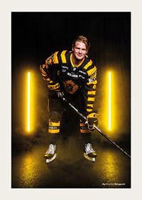 Rasmus Berggvist #4 Skellefteå AIK 2025/2026-3