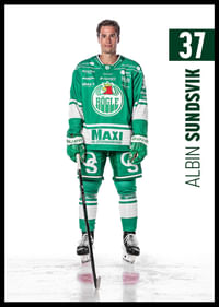 Albin Sundsvik #37 Rögle BK 2025/2026-2