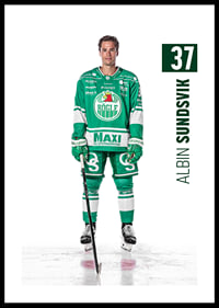 Albin Sundsvik #37 Rögle BK 2025/2026-0