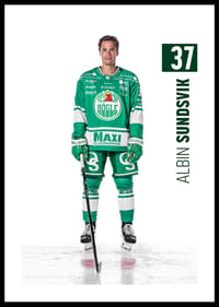 Albin Sundsvik #37 Rögle BK 2025/2026-0