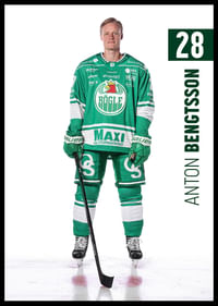 Anton Bengtsson #28 Rögle BK 2025/2026-2