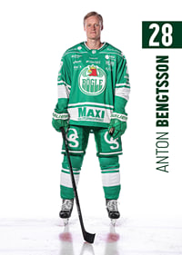 Anton Bengtsson #28 Rögle BK 2025/2026-3