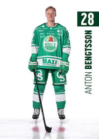 Anton Bengtsson #28 Rögle BK 2025/2026-3