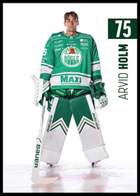 Arvid Holm #75 Rögle BK 2025/2026-2
