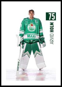 Arvid Holm #75 Rögle BK 2025/2026-0