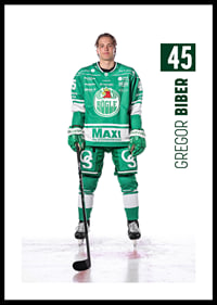 Gregor Biber #45 Rögle BK 2025/2026-0
