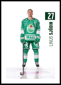 Linus Sjödin #27 Rögle BK 2025/2026-0