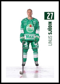 Linus Sjödin #27 Rögle BK 2025/2026-0