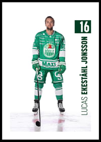 Lucas Ekeståhl Jonsson #16 Rögle BK 2025/2026-0