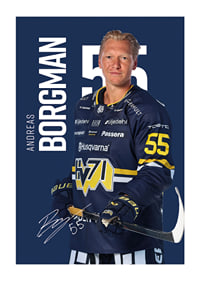 Andreas Borgman #55 HV71 2025/2026-1