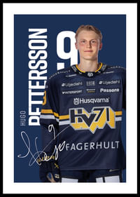 Hugo Pettersson #9 HV71 2025/2026-0