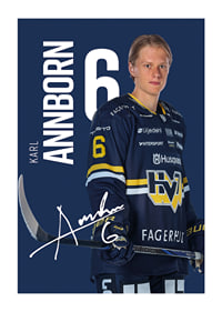 Karl Annborn #6 HV71 2025/2026-1