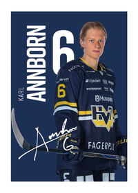Karl Annborn #6 HV71 2025/2026-1