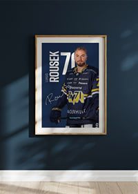 Lukas Rousek #70 HV71 2025/2026-4