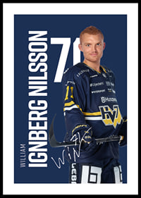 William Ignberg Nilsson #71 HV71 2025/2026-0