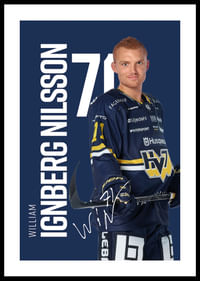 William Ignberg Nilsson #71 HV71 2025/2026-0