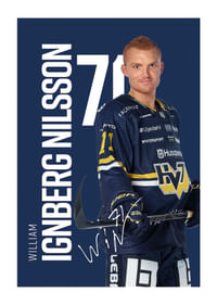 William Ignberg Nilsson #71 HV71 2025/2026-1