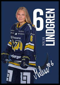 Malva Lindgren #6 HV71 2025/2026-2