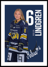 Malva Lindgren #6 HV71 2025/2026-0