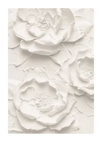 En plakat med strukturerte, detaljerte blomster i myke, monokrome toner-1