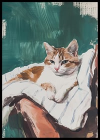 A poster with a relaxed cat resting on a striped blanket-6