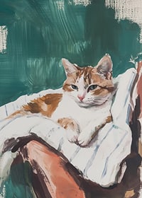 A poster with a relaxed cat resting on a striped blanket-7