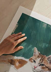 A poster with a relaxed cat resting on a striped blanket-9