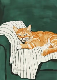 A poster with a sleeping orange cat on a striped blanket in a green armchair-7