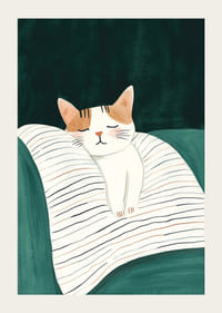 Plakát alvó macskával egy csíkos takarón lágy színekben-3