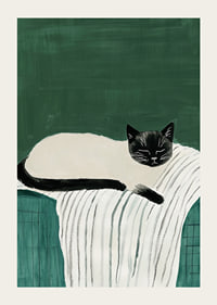 A poster with a black and white cat sleeping on a striped blanket-3