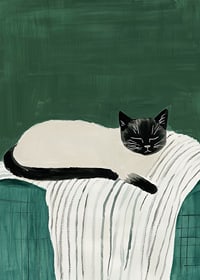 A poster with a black and white cat sleeping on a striped blanket-7